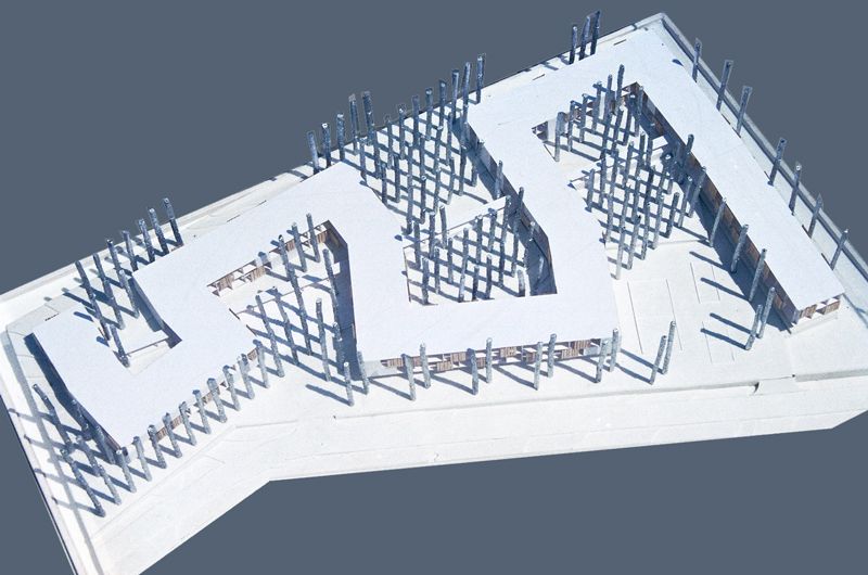 Institute amongst Trees – Competition